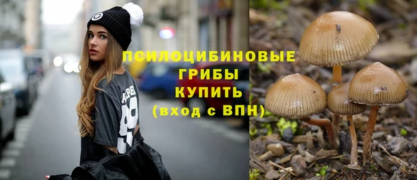 винт Сафоново