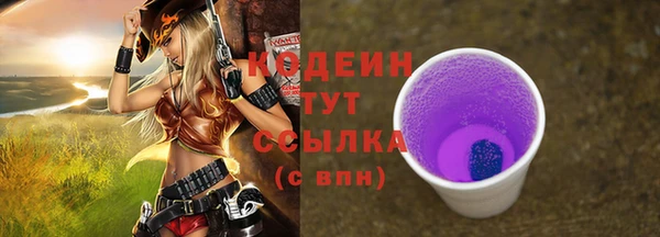 сатива Заводоуковск