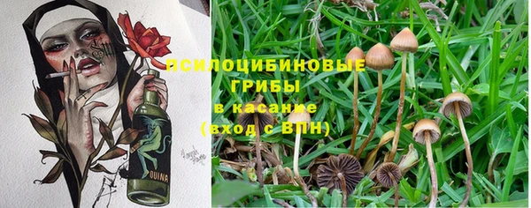 каннабис Заволжск
