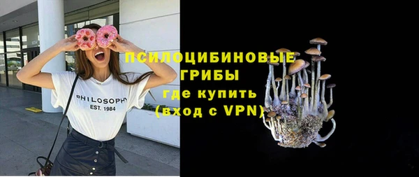 сатива Заводоуковск