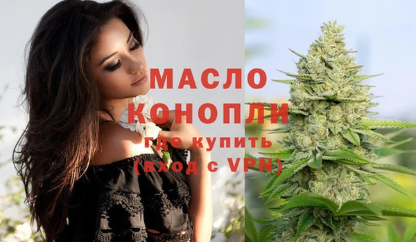 сатива Заводоуковск