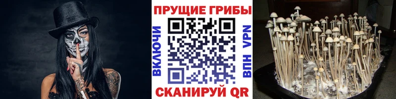 наркота Славянск-на-Кубани мега ссылки Галлюциногенные грибы мицелий