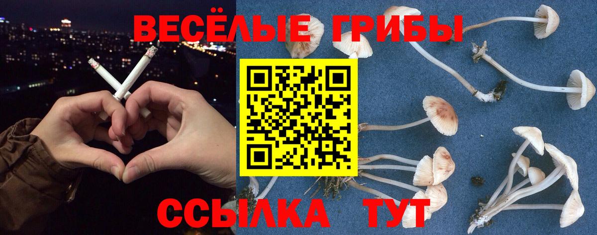 Галлюциногенные грибы мицелий  Галлюциногенные грибы ЛСД  Славянск-на-Кубани 