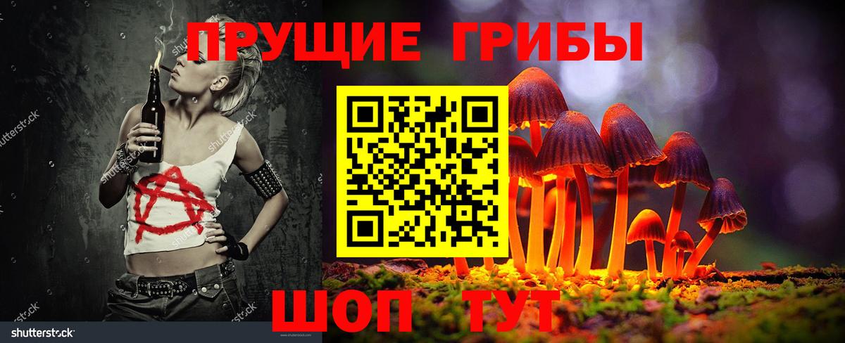 Псилоцибиновые грибы Psilocybine cubensis Славянск-на-Кубани
