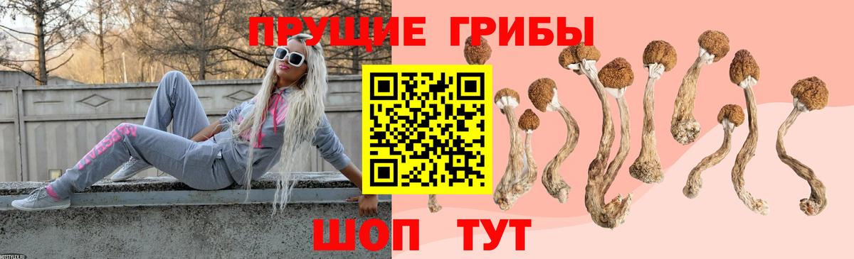 Славянск-на-Кубани  Галлюциногенные грибы MAGIC MUSHROOMS  где купить   Вход с VPN 